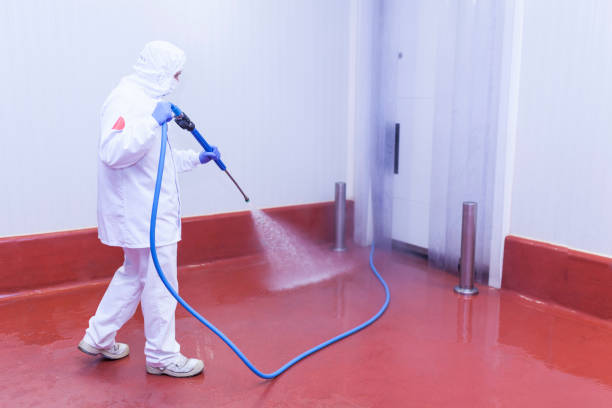 Best House Exterior Washing  in Palm City, FL